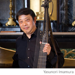 Yasunori Imamura - lute